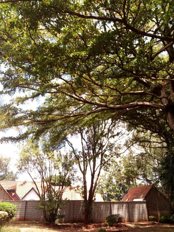 Kijiji Homestay ไนโรบี ภายนอก รูปภาพ